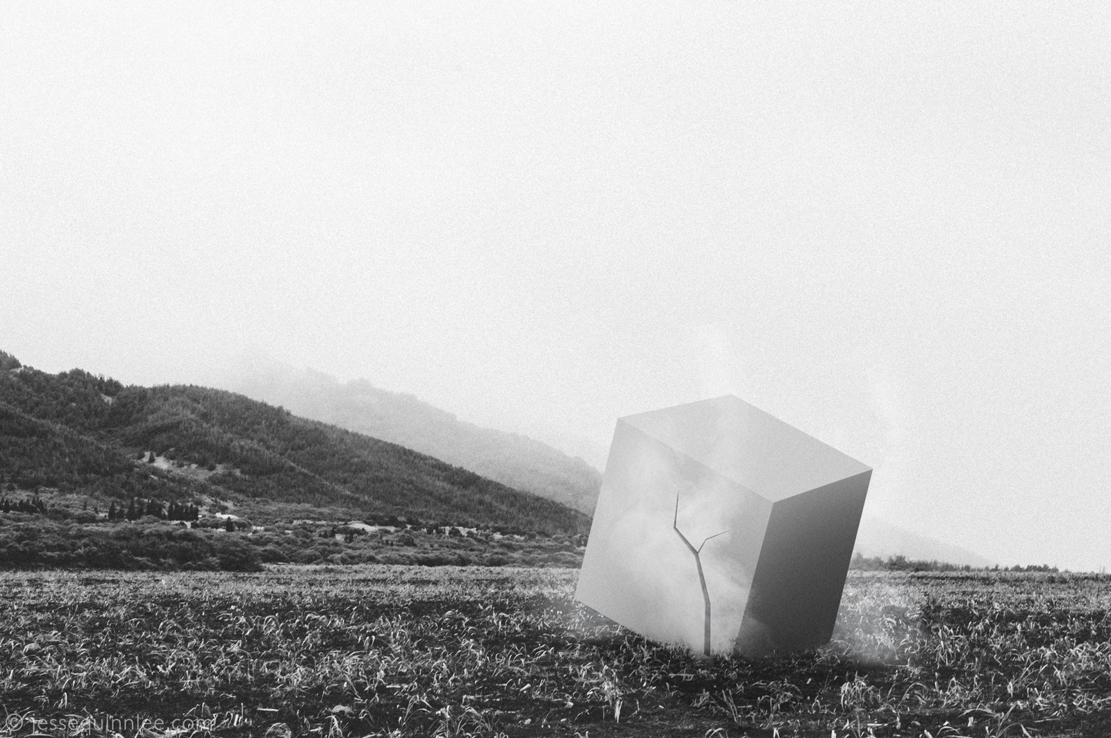 Mystery Cube Photograph by Jesse Quinn Lee